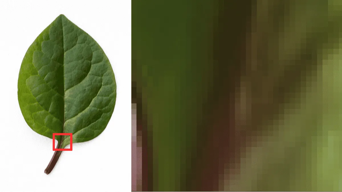 O que é Pixel e Como Funciona Renderização de Imagens e Vídeos em Ambientes Digitais